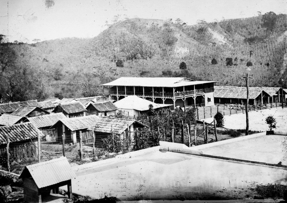 Fincacafeyas1913