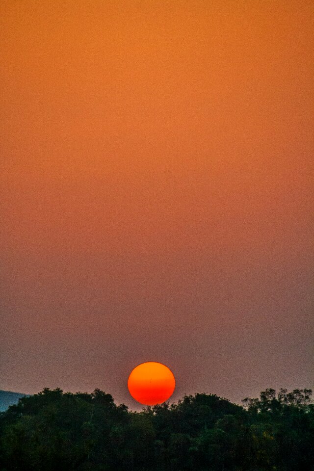 Nature moon dusk photo