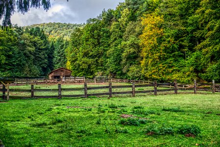 Wood fence meadow forest photo