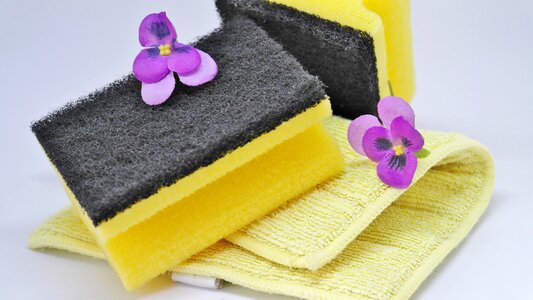 Bathroom soap sponge photo