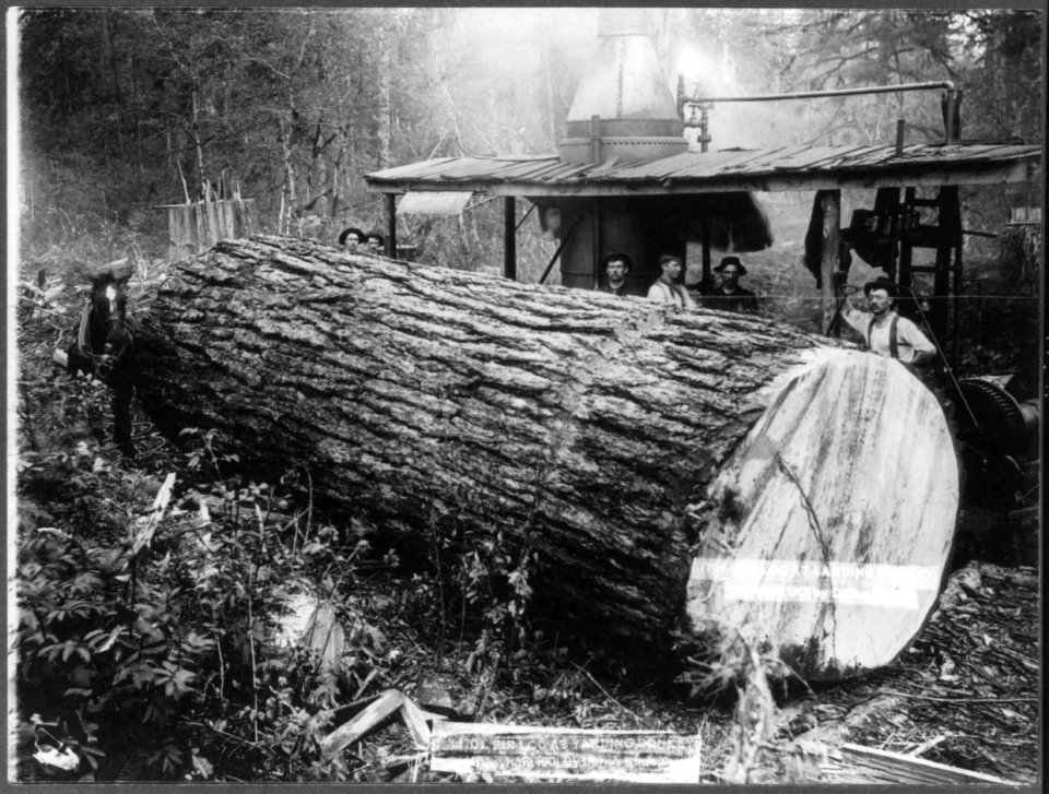 Fir log at yarding donkey LCCN2004665702