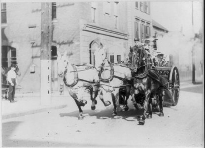 Fire equipment drawn by three running horses LCCN2005689018