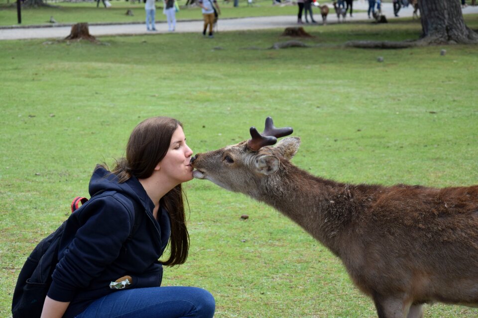 Happy animal love for animals