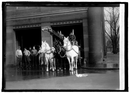 Fire horses LCCN2016822035