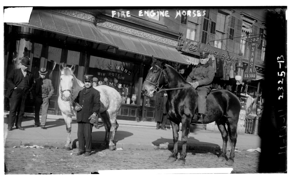 Fire engine horses LCCN2014689891