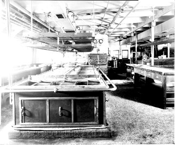 First Class Galley on the 'Aquitania' (1914) RMG D2143