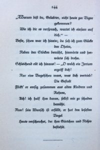 Goethes Liebesgedichte im Insel Verlag-144