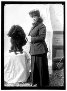 GOFF, MRS., DOG SHOW LCCN2016866967