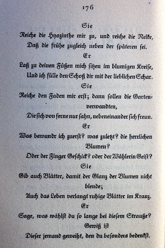 Goethes Liebesgedichte im Insel Verlag-176