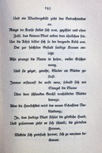 Goethes Liebesgedichte im Insel Verlag-195