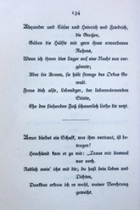 Goethes Liebesgedichte im Insel Verlag-134