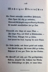 Goethes Liebesgedichte im Insel Verlag-208