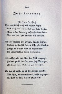 Goethes Liebesgedichte im Insel Verlag-209