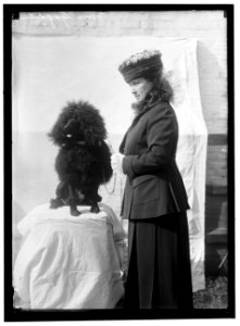 GOFF, MRS. DOG SHOW LCCN2016866954