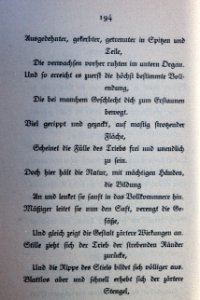 Goethes Liebesgedichte im Insel Verlag-194