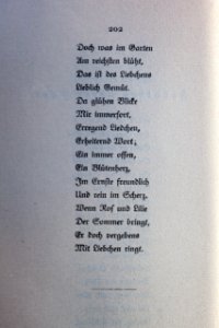Goethes Liebesgedichte im Insel Verlag-202