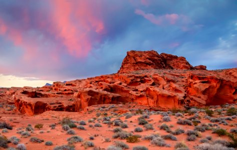 Gold Butte National Monument 10