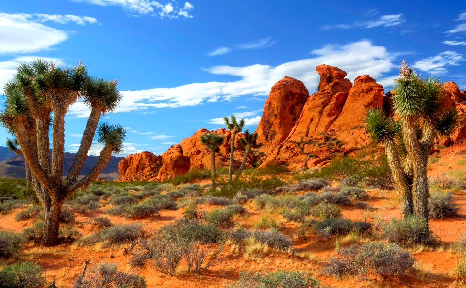 Gold Butte National Monument 9