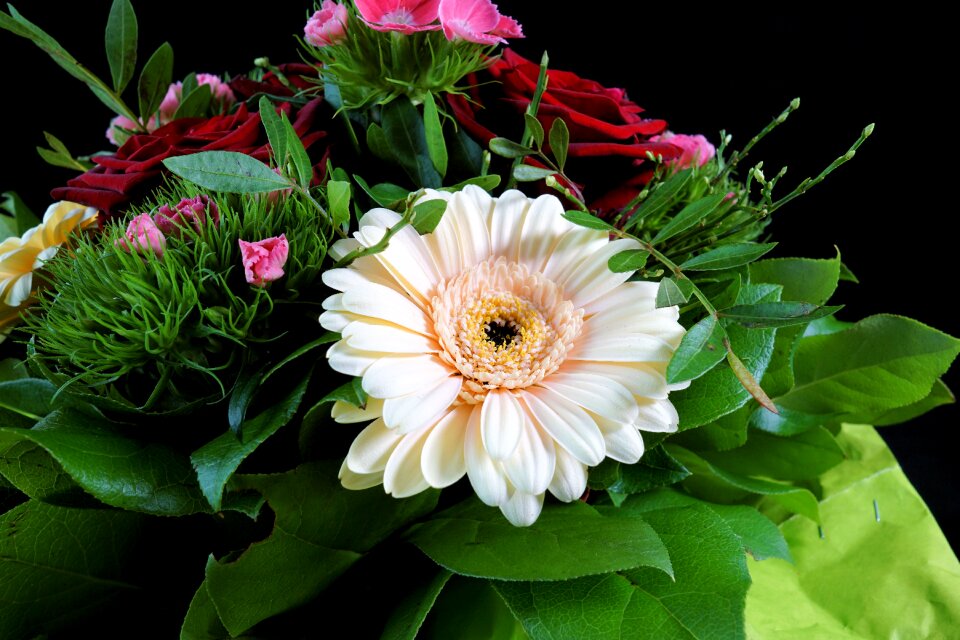 Flower plant leaf