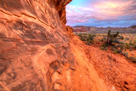 Gold Butte National Monument 8