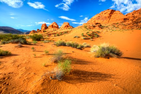 Gold Butte National Monument 7