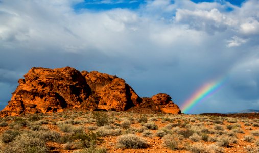 Gold Butte National Monument 6