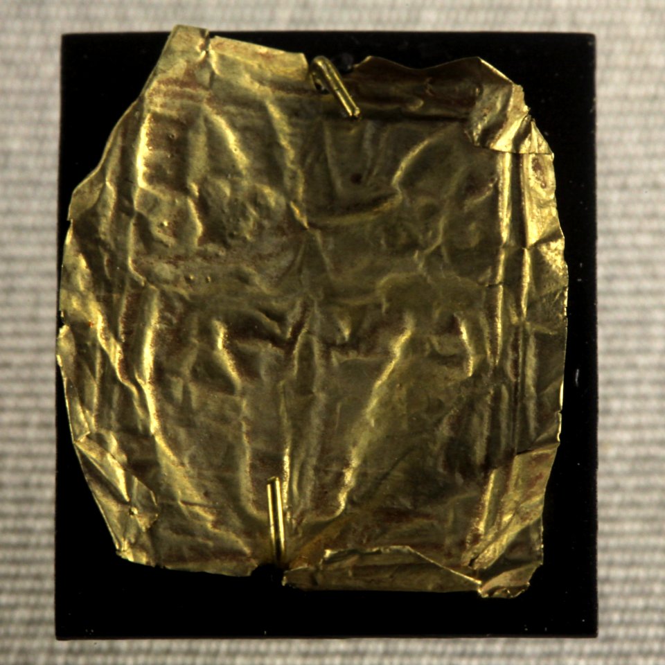 Golden plaque-MNB 95-IMG 9276
