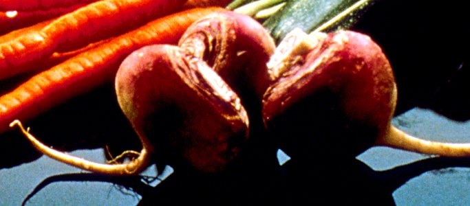 Good Food Display - NCI Visuals Online; Radish