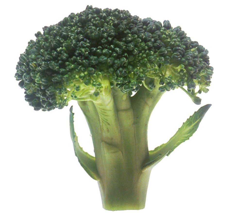Good broccoli Deal!