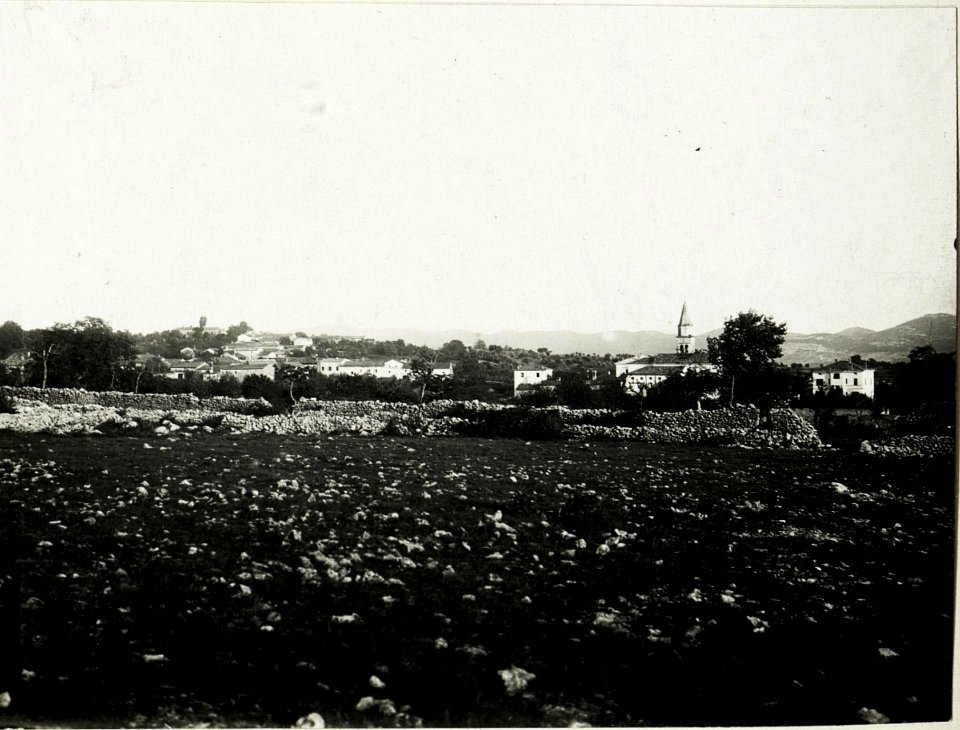 Gorjansko. (BildID 15586808)