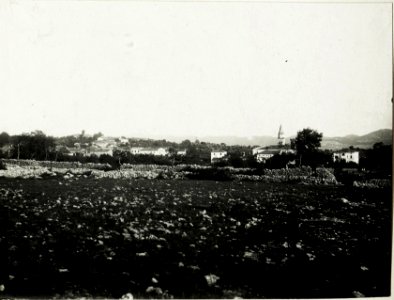 Gorjansko. (BildID 15586808)