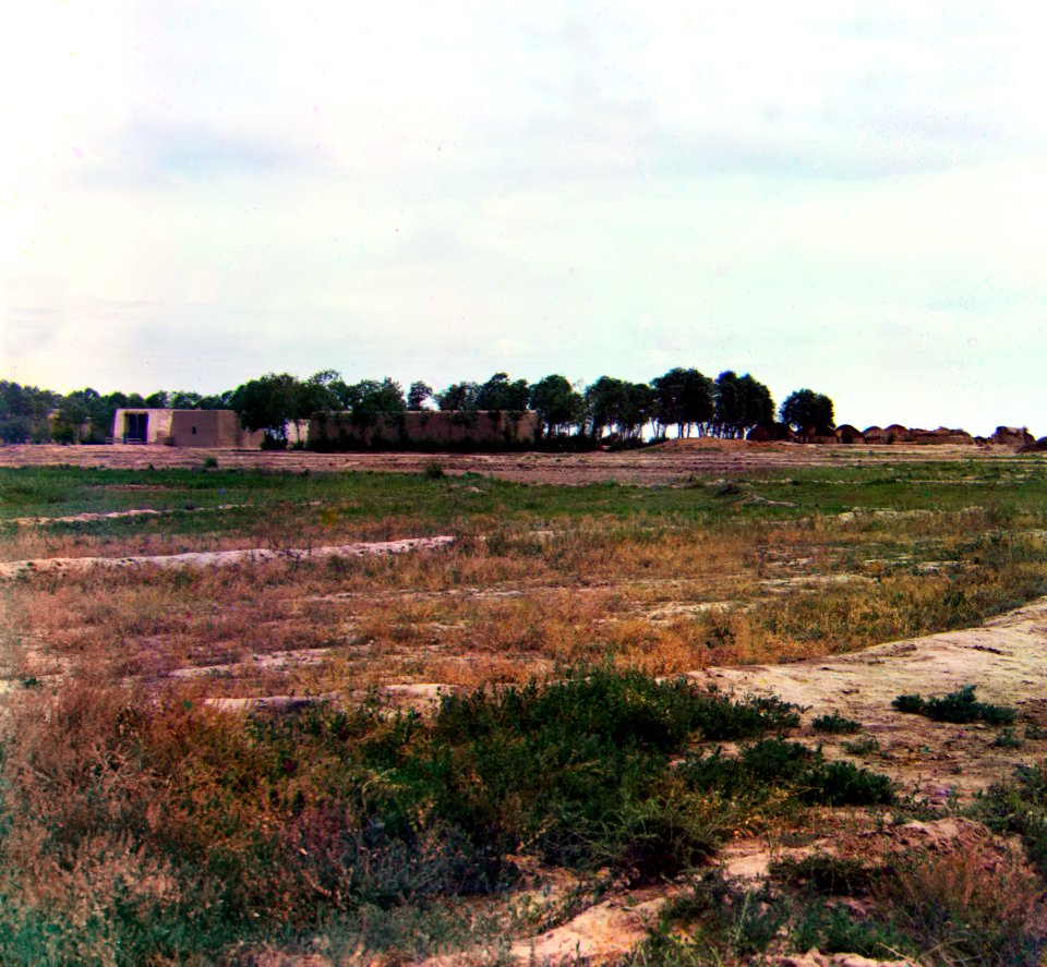 Gorskii 200851u