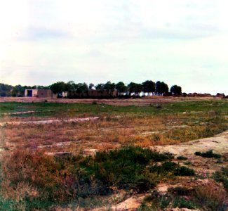Gorskii 200851u