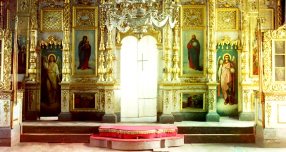 Gorskii 00841u - detail