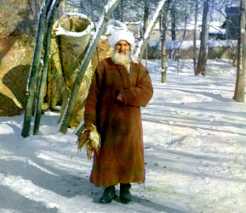 Gorskii 04441u