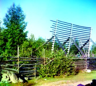 Gorskii 20270u