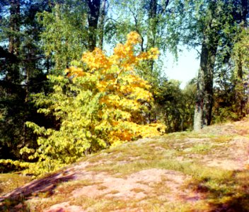Gorskii 21471u
