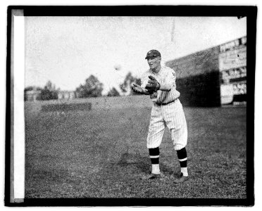 Goslin, 1921 LOC npcc.05018