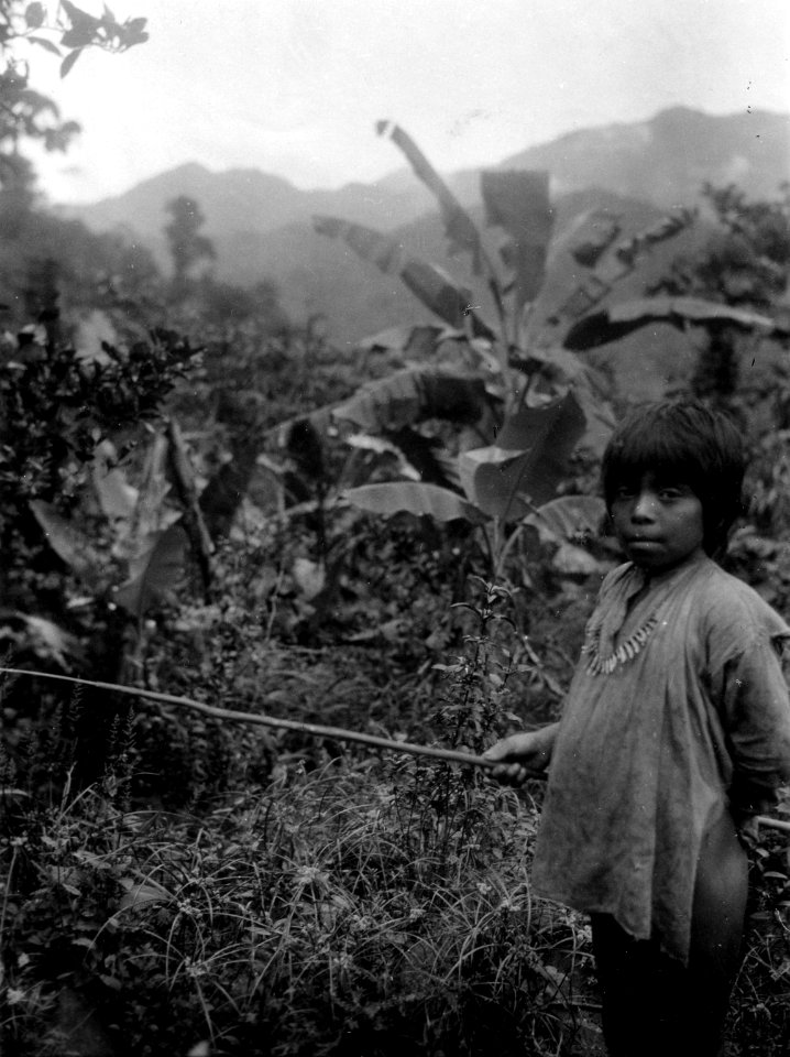 Gosse med limspö för småfågelfångst. Prov. Veraguas, Panamá. Veraguas. Panama - SMVK - 004270