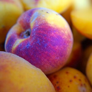 Peach summer summer fruit