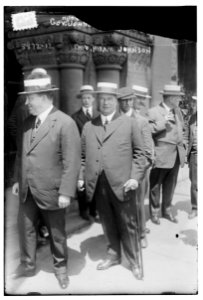 Gov. Hiram Johnson LCCN2014701822