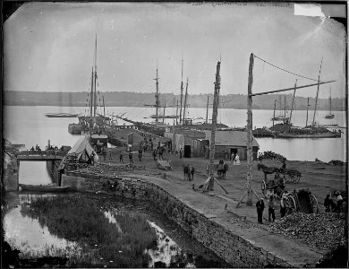 Government coal wharf - NARA - 529387