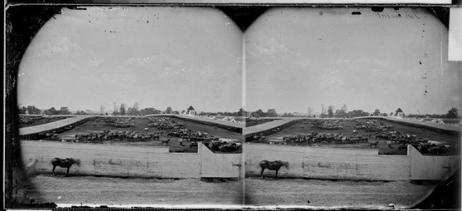 Government corral - NARA - 529641