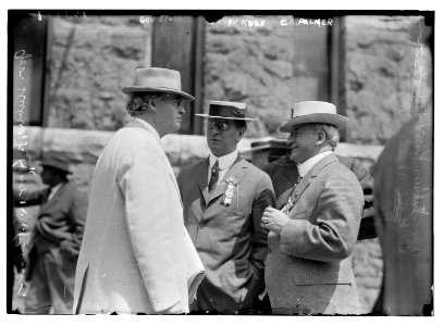 Gov. Stubbs, Frank Knox, and C.A. Palmer LCCN2014687088