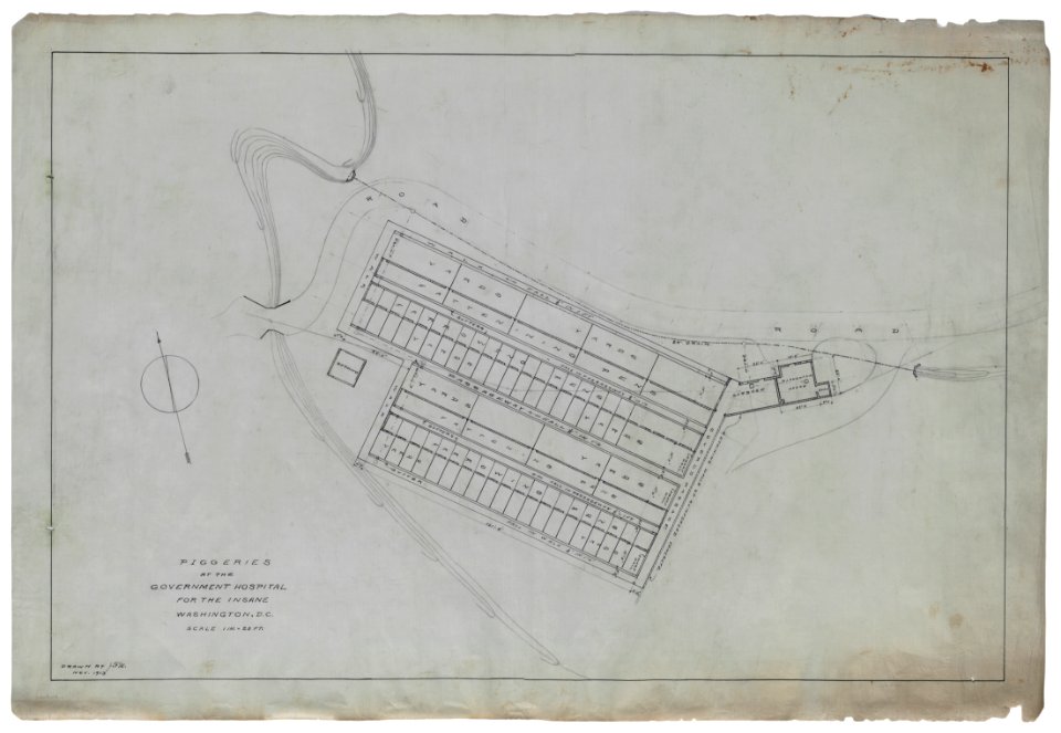 Government Hospital for the Insane (Saint Elizabeths Hospital), Washington, D.C. Piggeries. Plan and site plan with topographical additions) - J.F.M LCCN2013648667