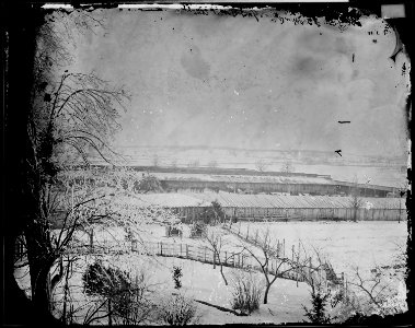 Government Corral, Alexandria, Va - NARA - 528945 photo