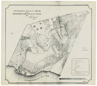 Government Hospital for the Insane (Saint Elizabeths Hospital), Washington, D.C. Topographical plan of the grounds LCCN2016652052
