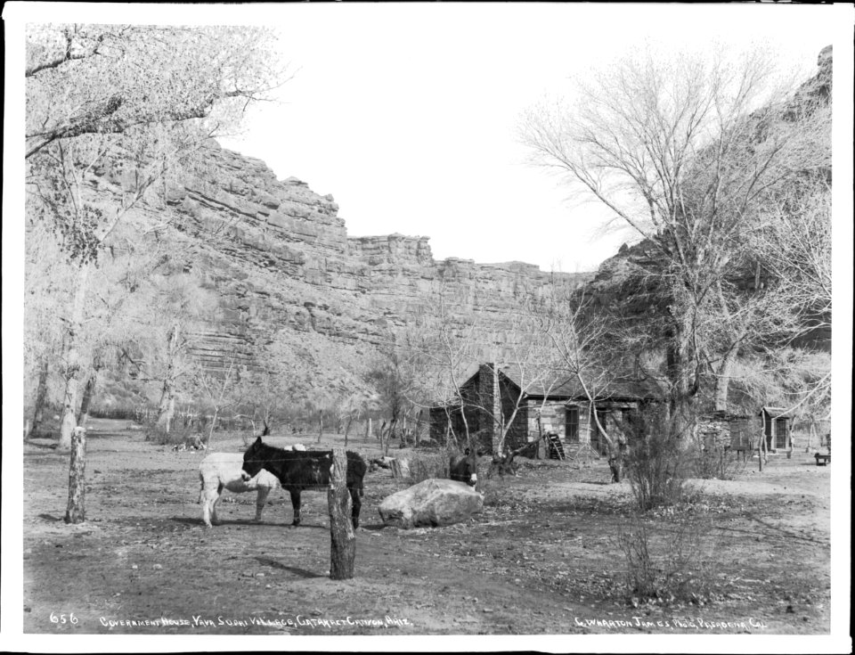 Government house in Havasupai village, Havasu or Cataract Canyon, ca.1900 (CHS-4696)