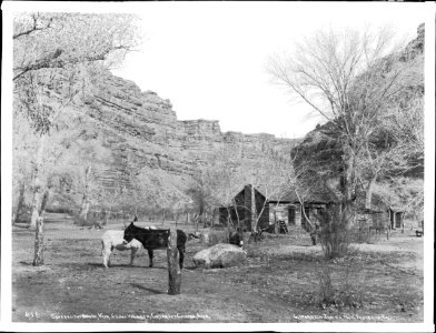Government house in Havasupai village, Havasu or Cataract Canyon, ca.1900 (CHS-4696)