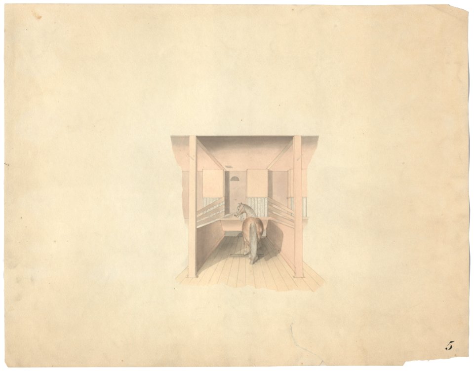 Government Hospital for the Insane (Saint Elizabeths Hospital), Washington, D.C. Stable interior with horse in stall LCCN2013648657